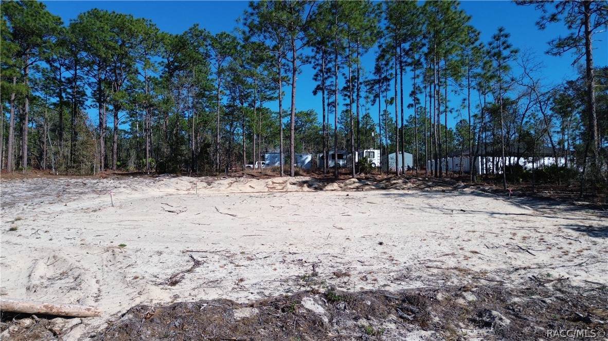 7291 Gibralter Drive - Photo 1