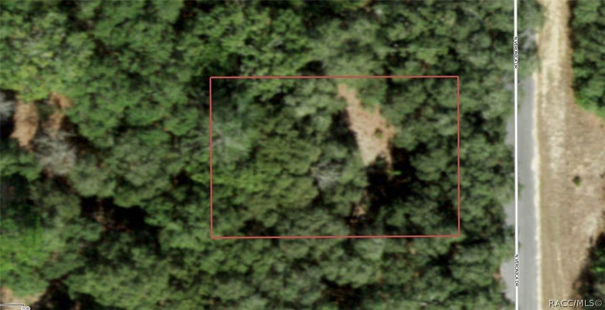 7120 Veronica Drive - Photo 1