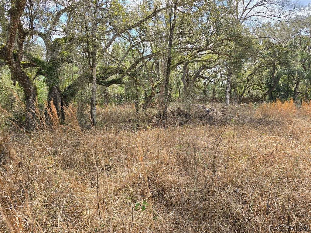 6436 Yam Street - Photo 1