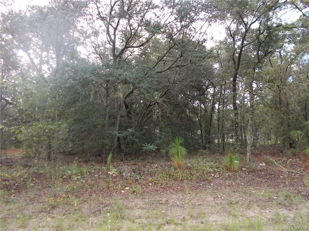 2056 Beach Plum Drive - Photo 1