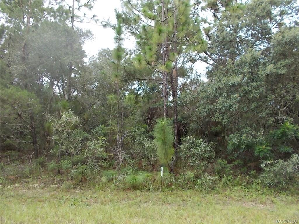 3074 Bedford Lane - Photo 1