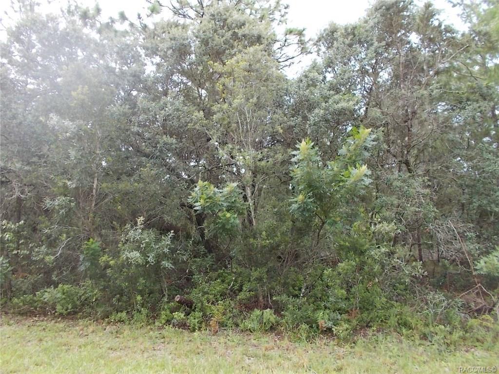3096 Bedford Lane - Photo 1