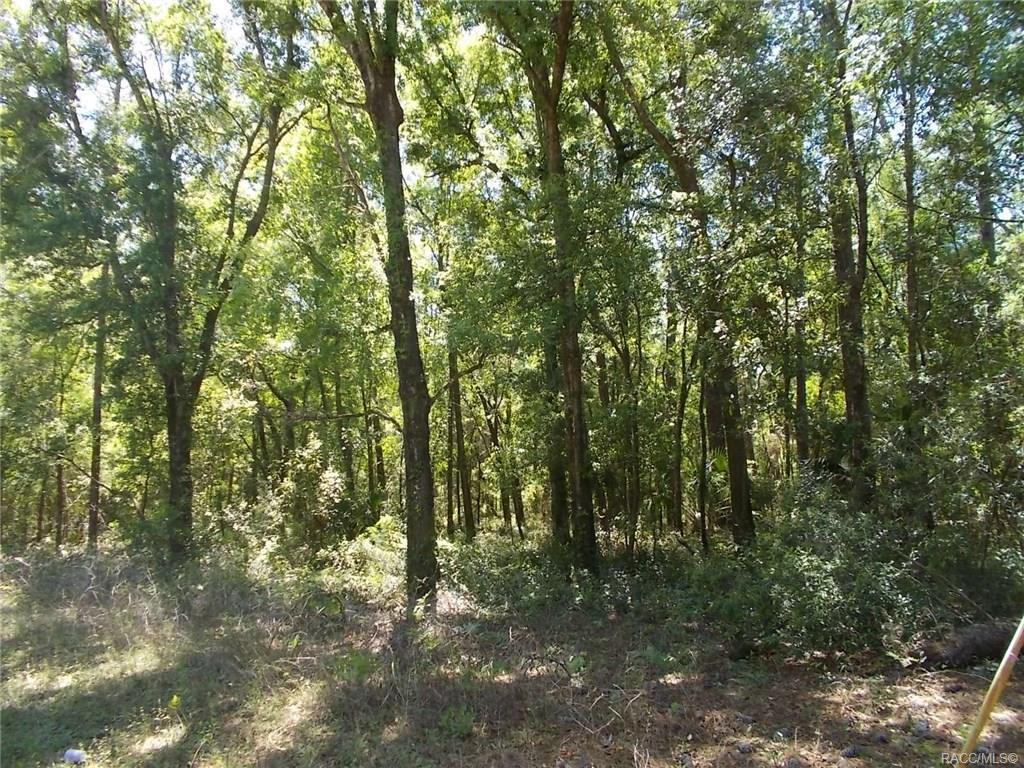 6750 Waterfall Terrace - Photo 1