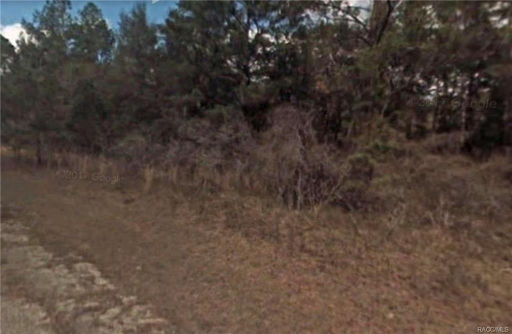 7937 Addison Road - Photo 1