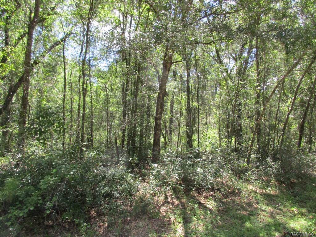 8307 Gaynor Point - Photo 1