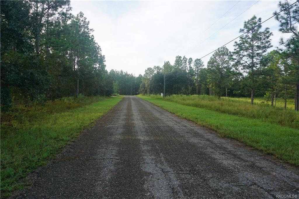 7591 Ring Drive - Photo 1