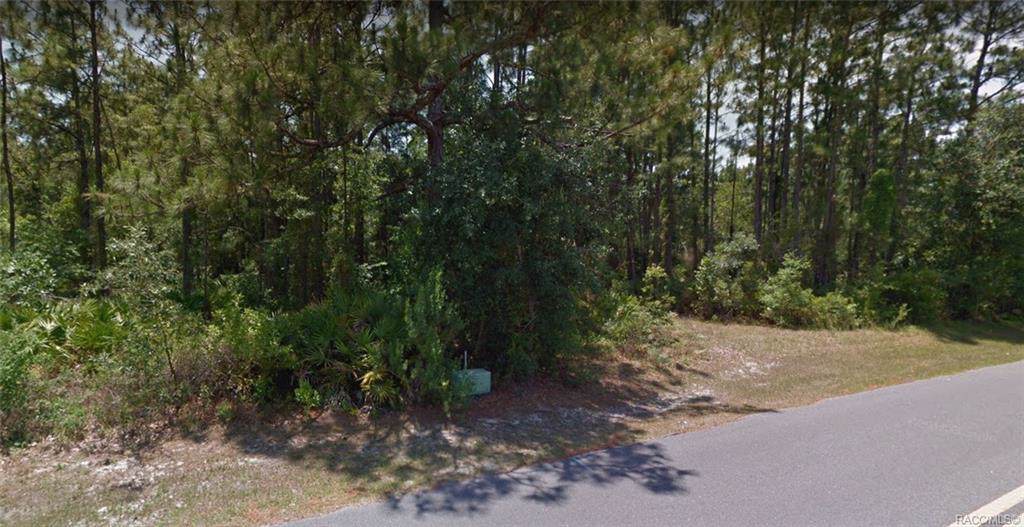 73 Douglas Street - Photo 1
