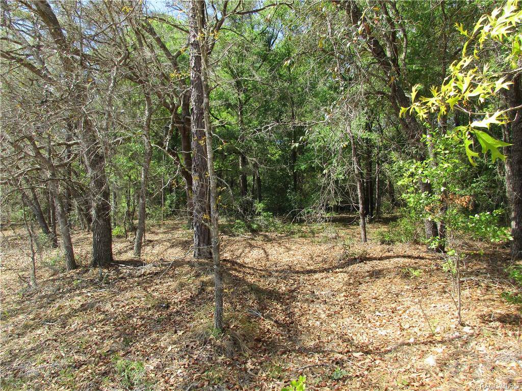 593 Malaga Lane - Photo 1