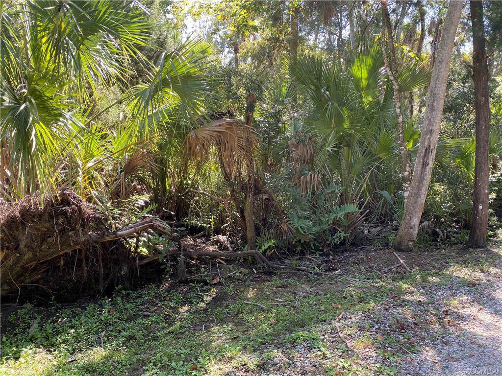 10636 Paros Path - Photo 1