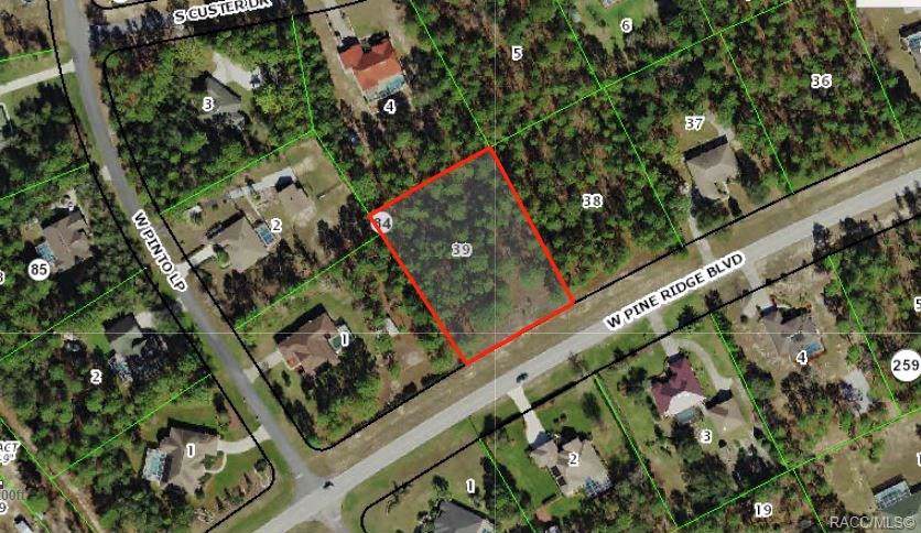 4963 Pine Ridge Boulevard - Photo 1 4963 Pine Ridge Boulevard - Photo 1