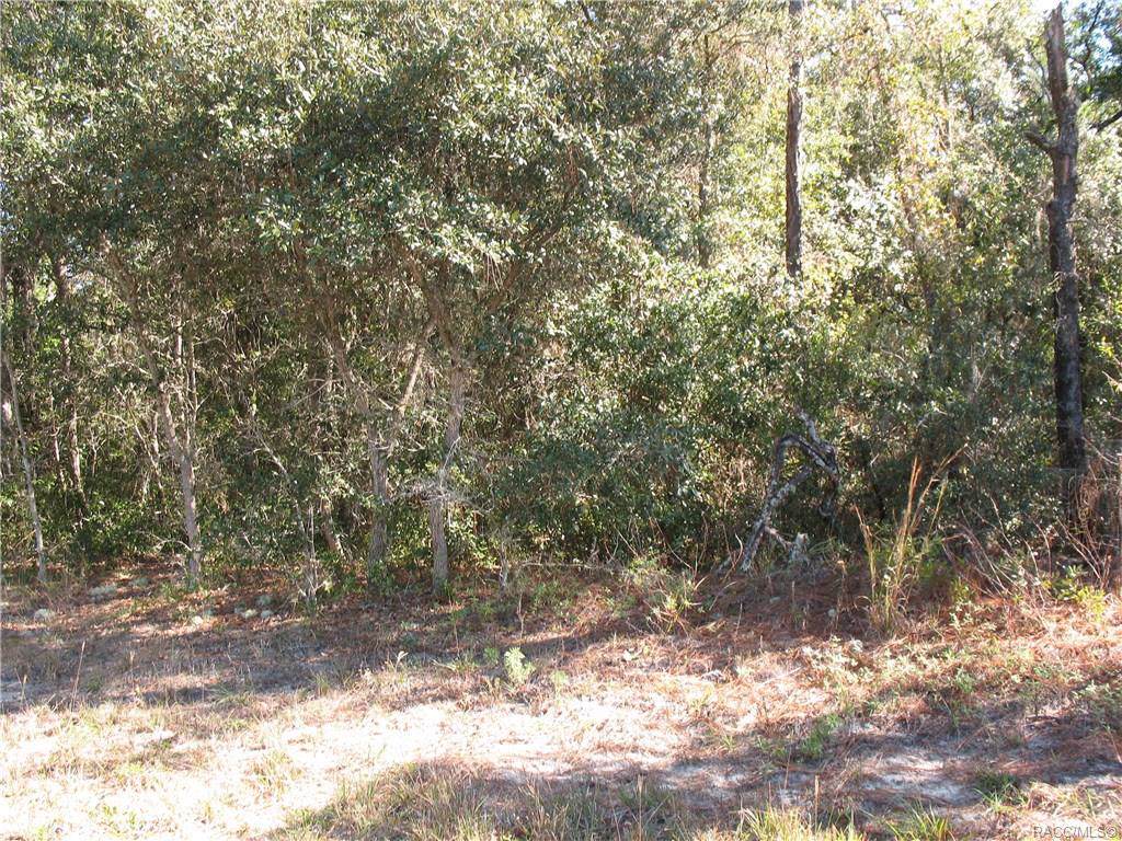 2912 Camilo Drive - Photo 1