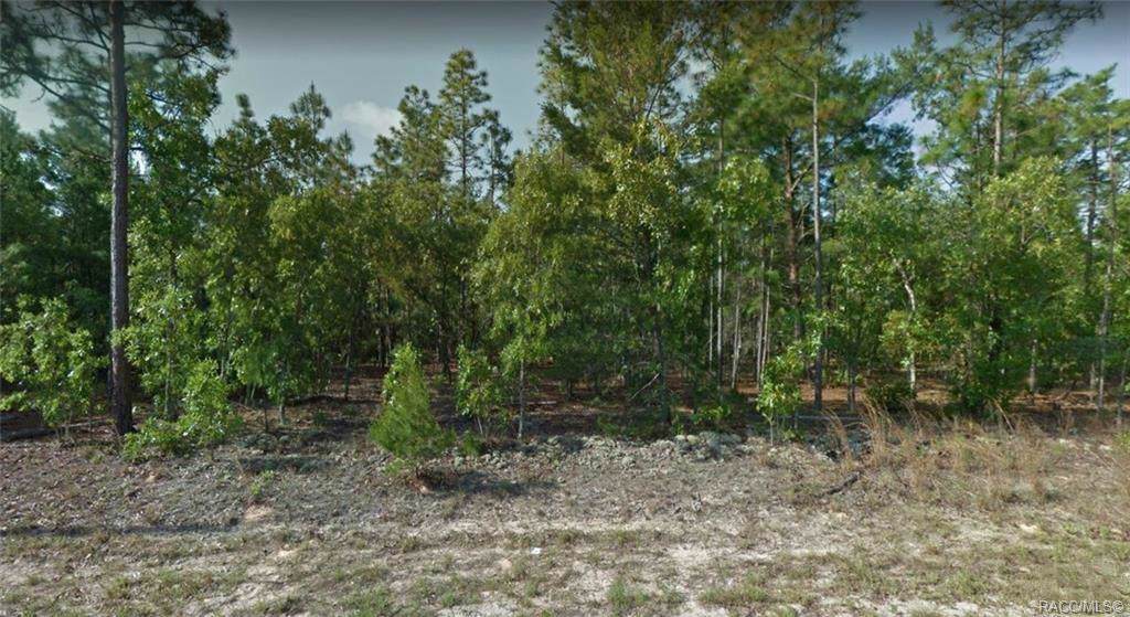 3942 Firewood Loop - Photo 1