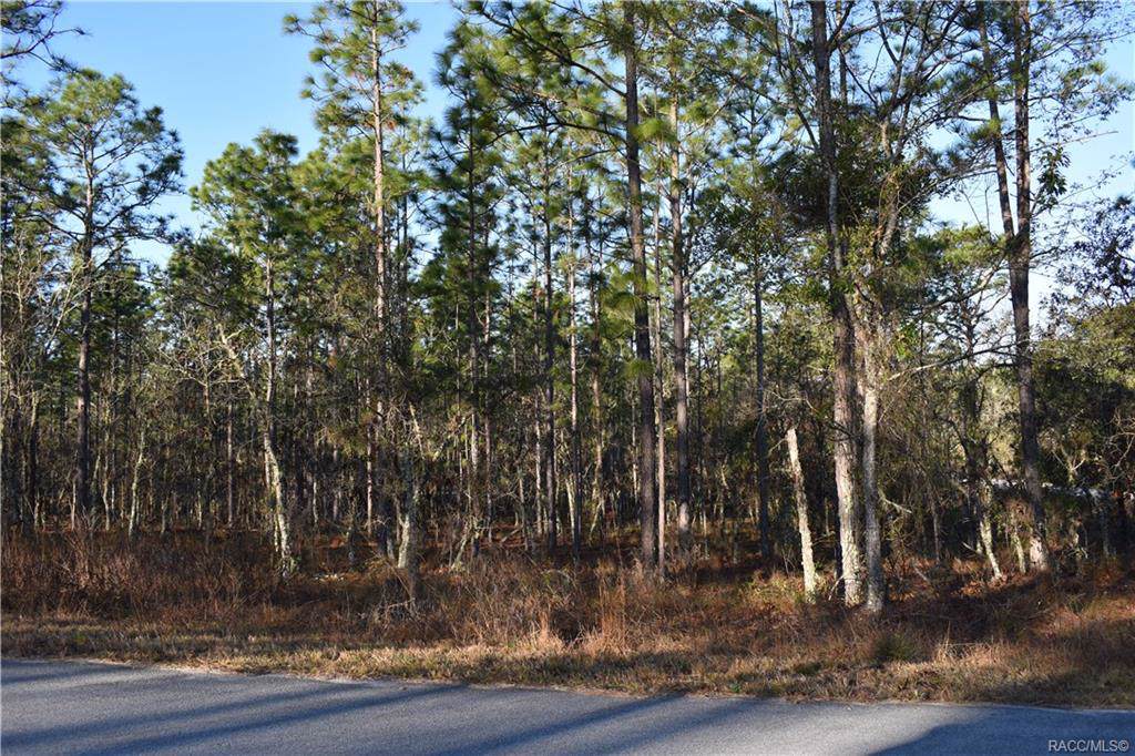 Lot 58 Nw Narcissus Road - Photo 1