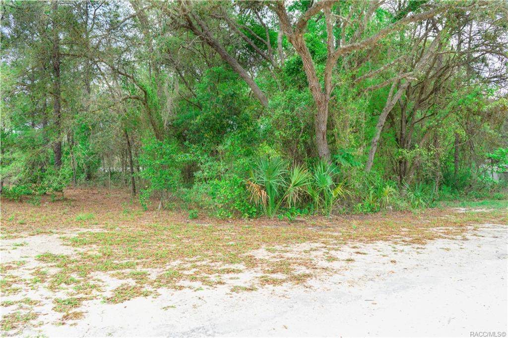 3459 Alfalfa Lane - Photo 1