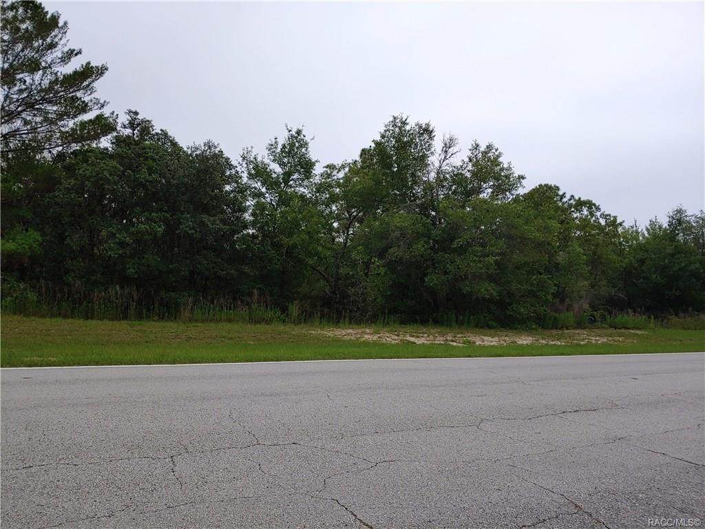10121 Elkcam Boulevard - Photo 1