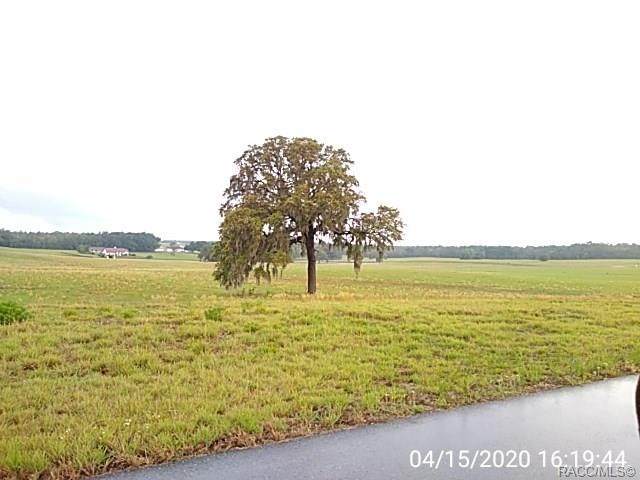 5730 Orion Court - Photo 1