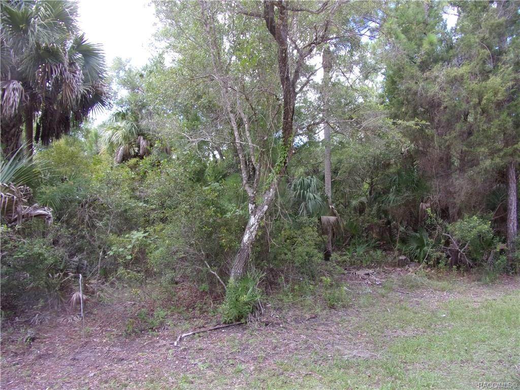 0 Azallee Avenue - Photo 1
