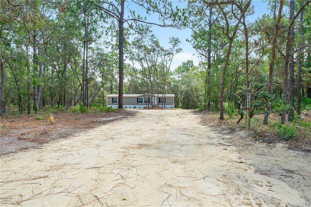 4543 Slash Pine Avenue - Photo 1
