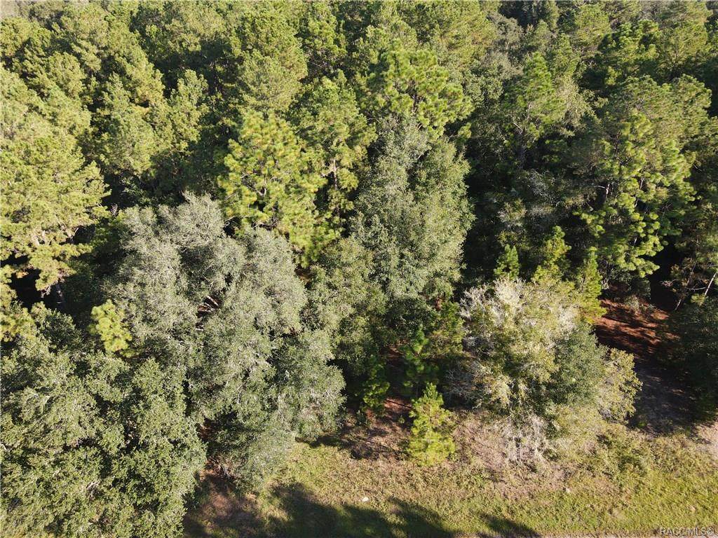 1703 Ivydale Drive - Photo 1