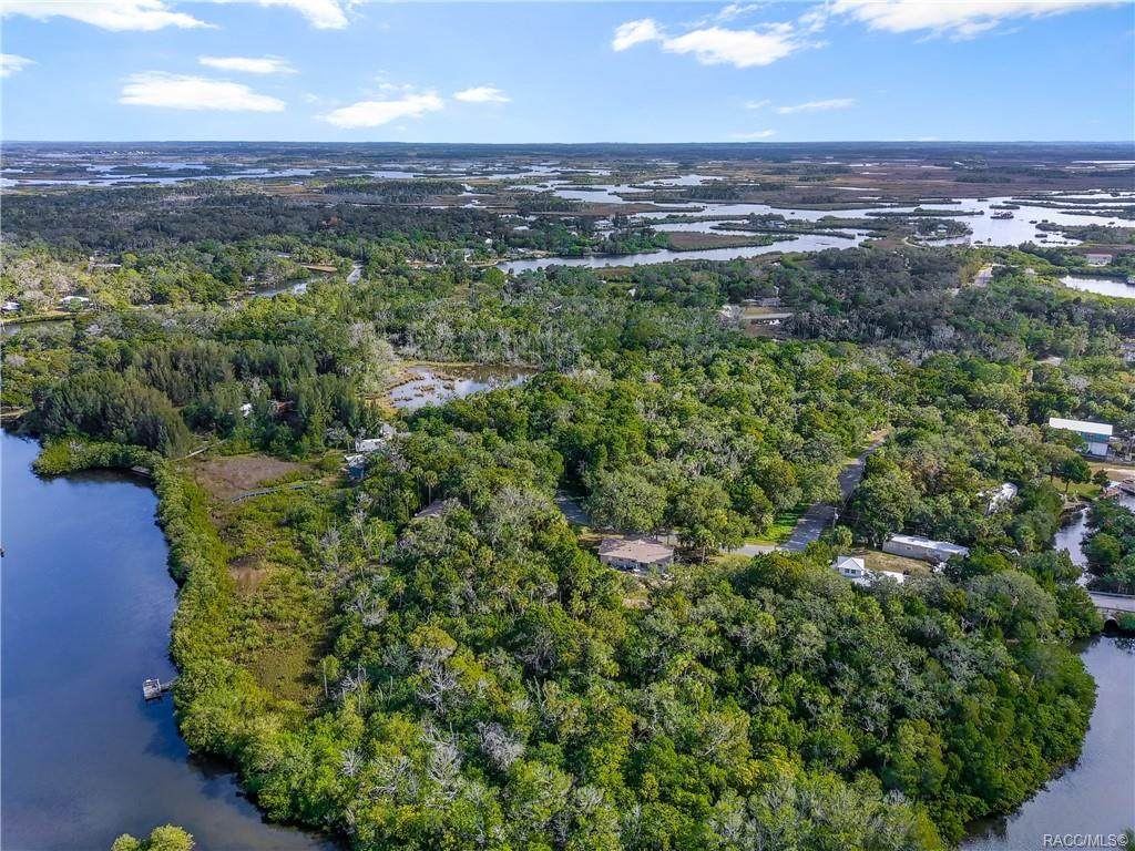 1358 Ozello Trail - Photo 1