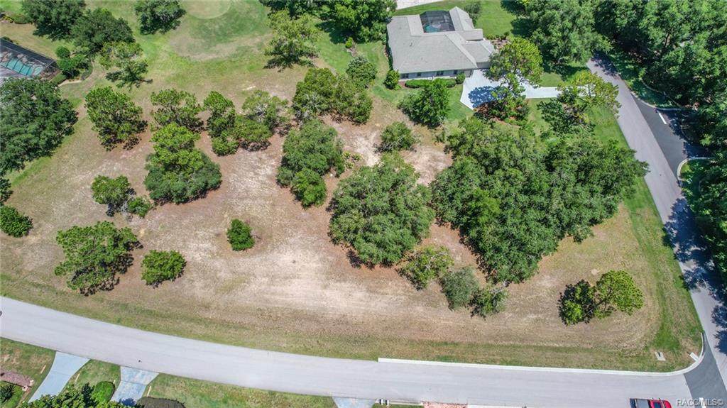 3541 Pine Valley Loop - Photo 1