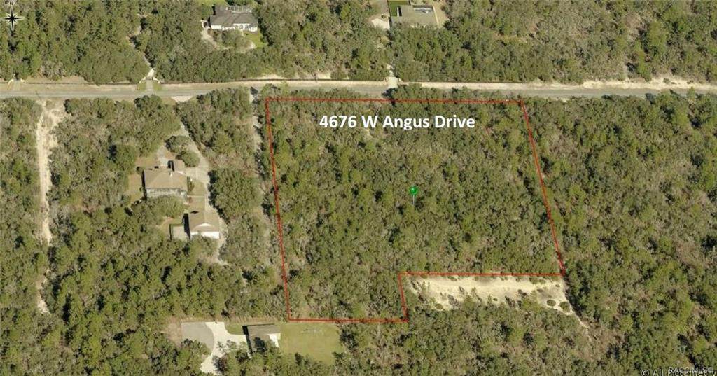 4676 Angus Drive - Photo 1