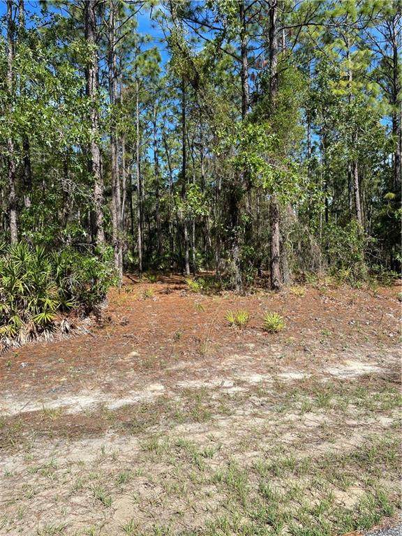 5324 N Buffalo Drive - Photo 1