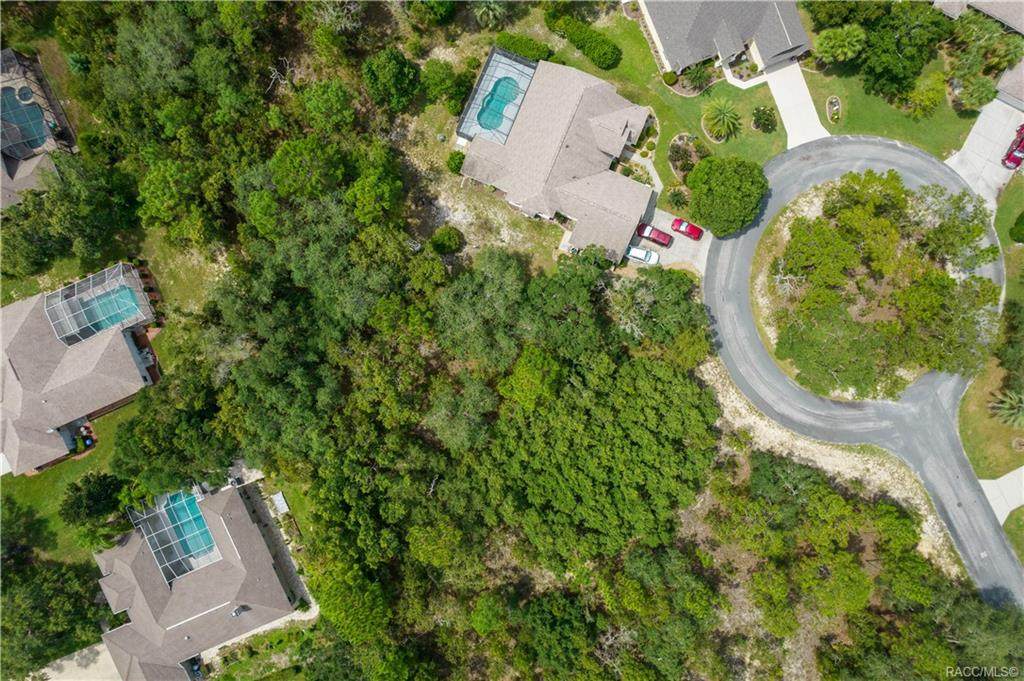 11 Honeysuckle Court - Photo 1