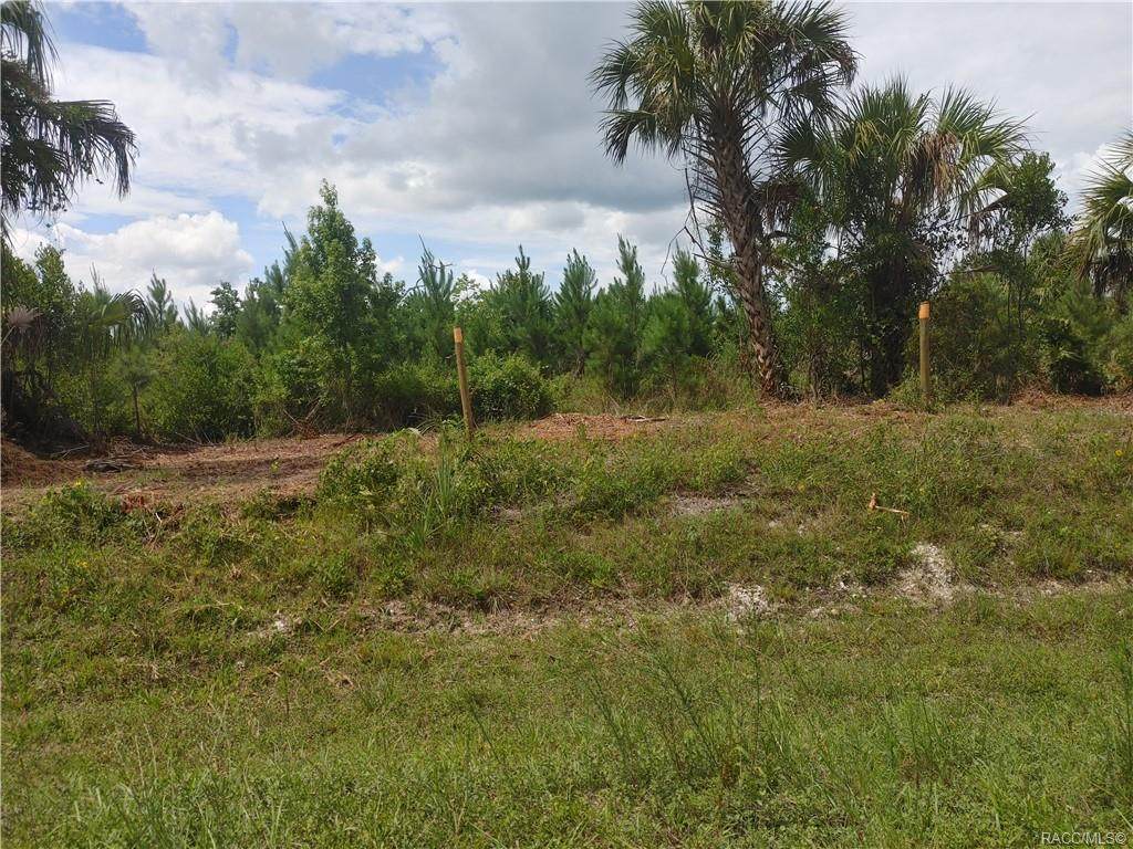 000 C 40A Road - Photo 1
