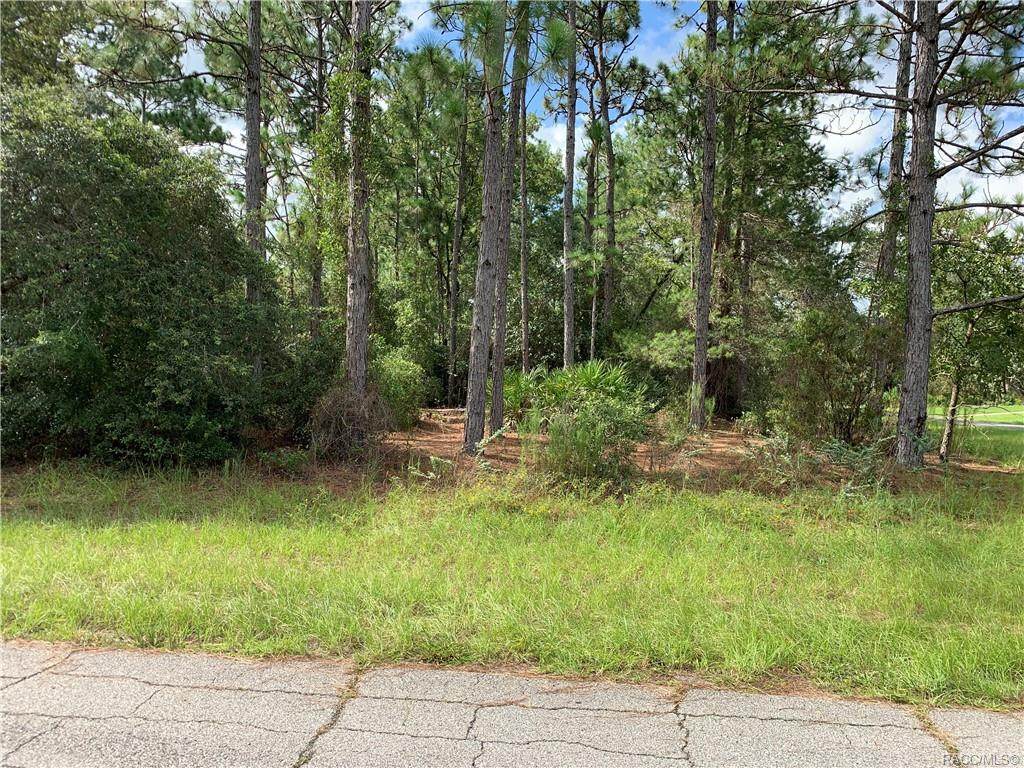 4918 Alamo Drive - Photo 1