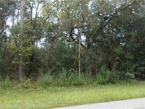 1358 Pearson Street - Photo 1