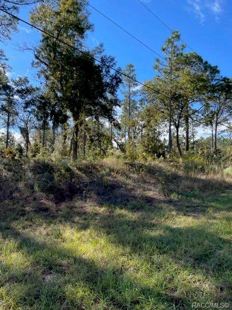 1386 Plum Place - Photo 1
