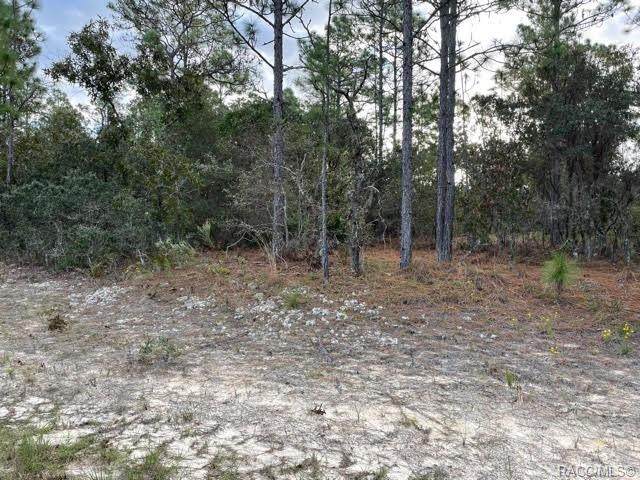 8851 Lansen Way - Photo 1