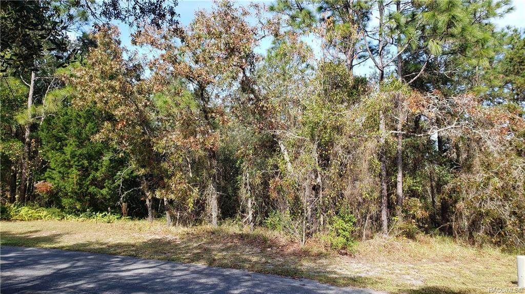 18 Longleaf Court - Photo 1