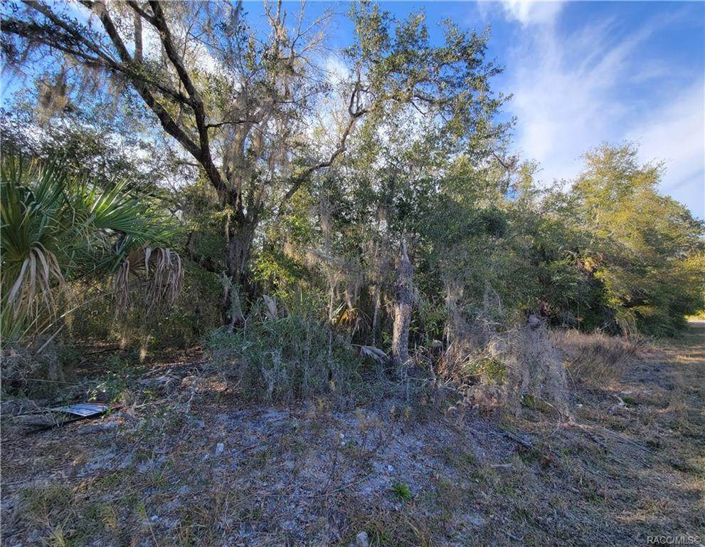9564 Evenstock Way - Photo 1