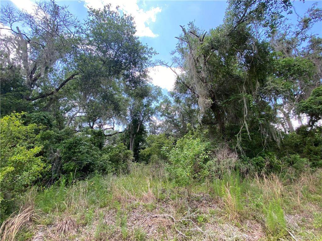 9206 Raymar Lane - Photo 1