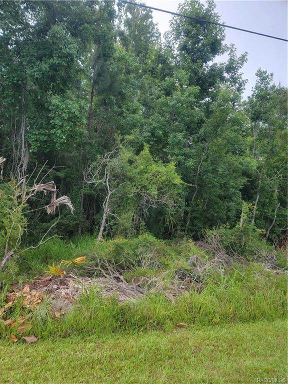 983 Bobby Jones Point - Photo 1