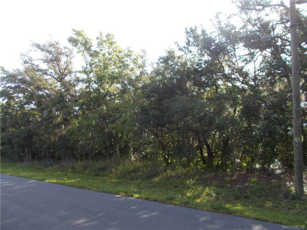 527 Grandview Avenue - Photo 1