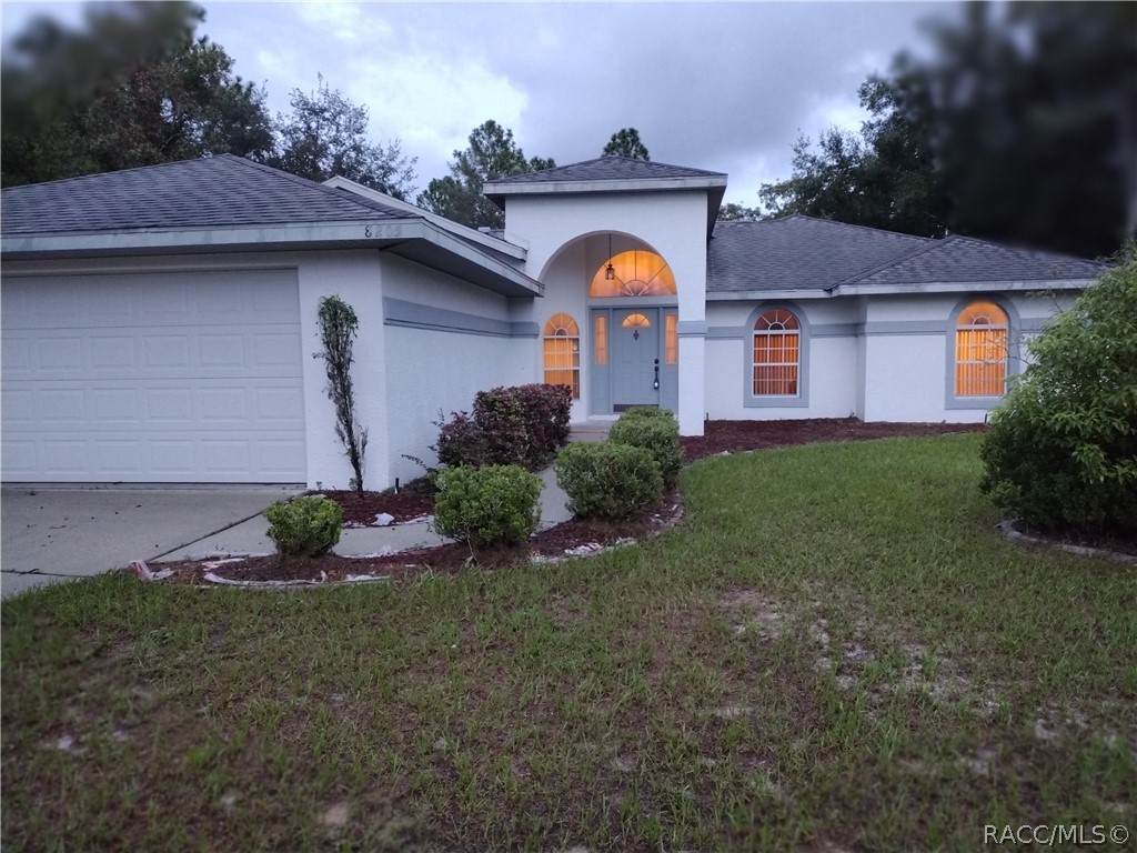 8205 Dove Orchid Drive - Photo 1