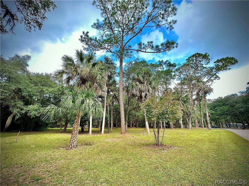 0 Riverside Drive - Photo 1