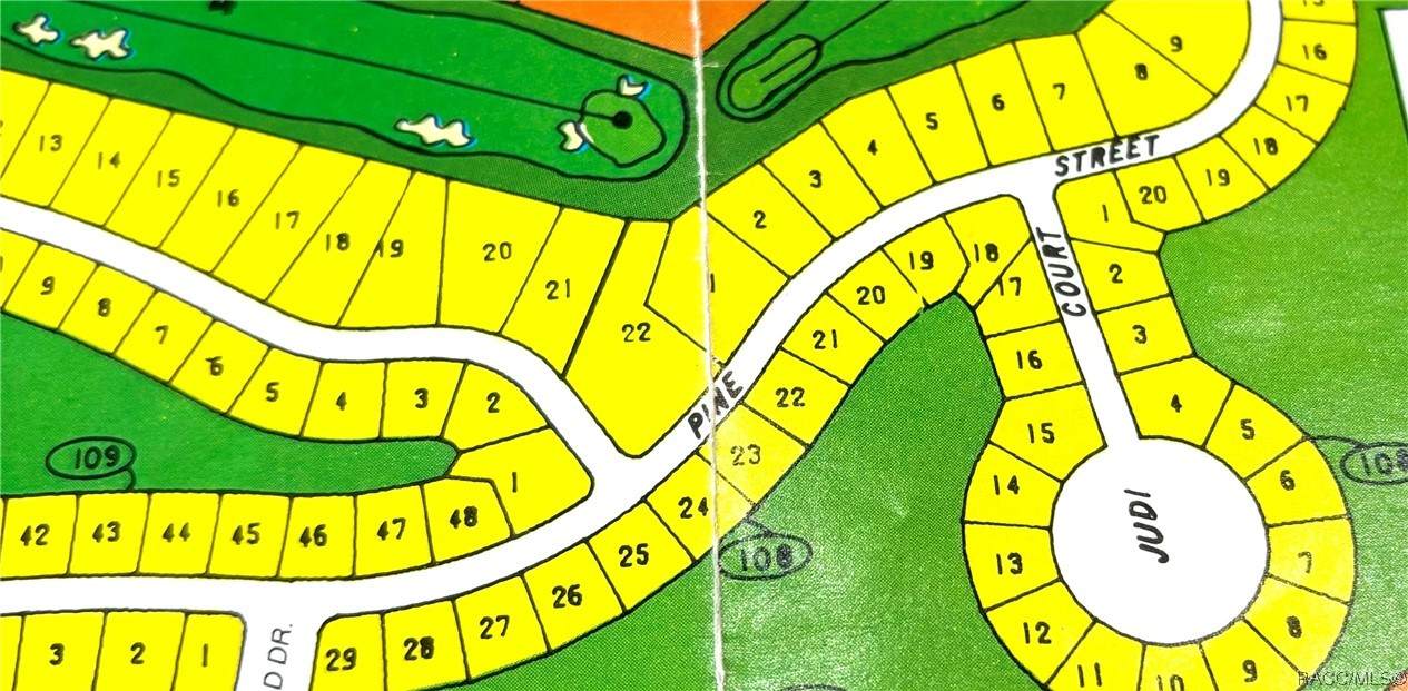 125 Pine Street - Photo 1