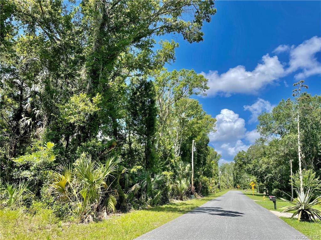 135 Country Club Drive - Photo 1