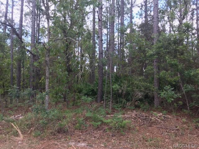 5080 Red Ribbon Point - Photo 1