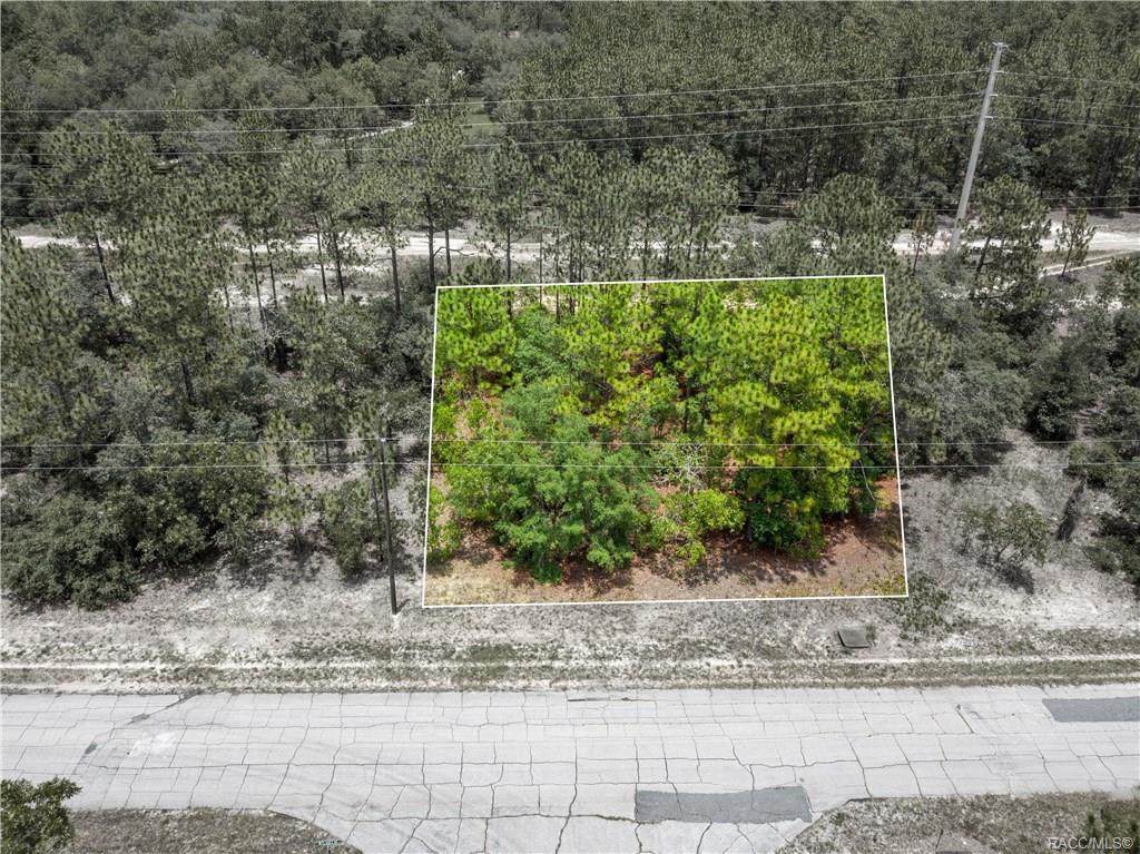 3435 Wilhelm Street - Photo 1