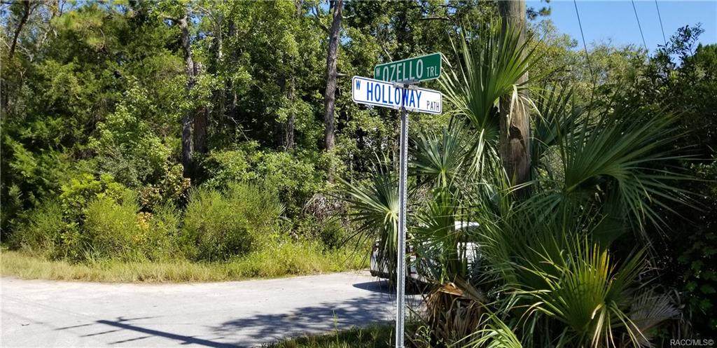 10240 Ozello Trail - Photo 1