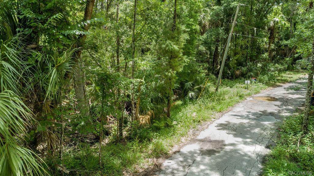 4465 Lewoods Drive - Photo 1