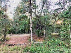 13122 Cornflower Drive - Photo 1