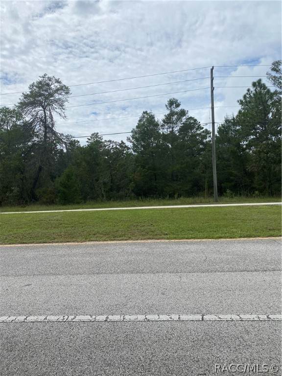 8282 Citrus Springs Boulevard - Photo 1