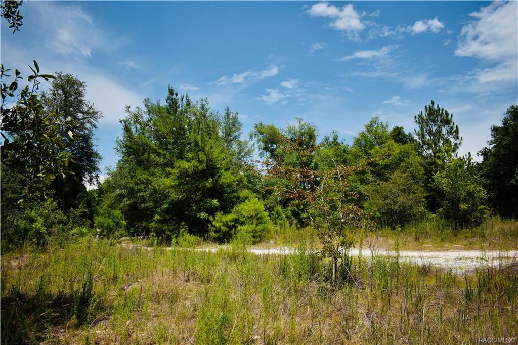 3941 Peggy Street - Photo 1