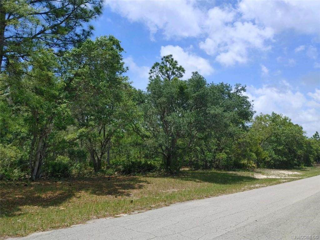 2304 Trample Terrace - Photo 1